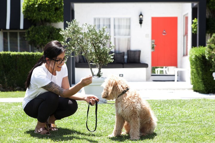 Pet Friendly 78 of 83