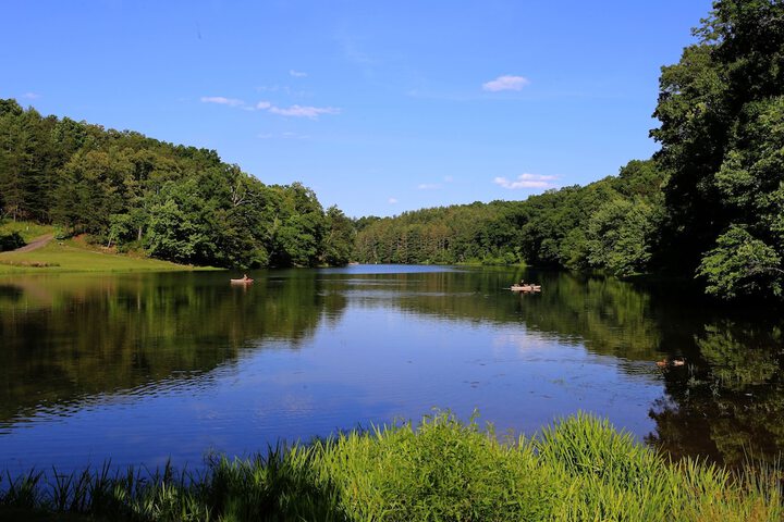 Property Grounds 42 of 51