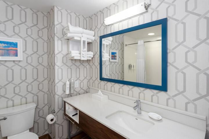 Hampton Inn Buffalo South / I-90