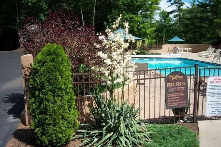 Pool 26 of 65