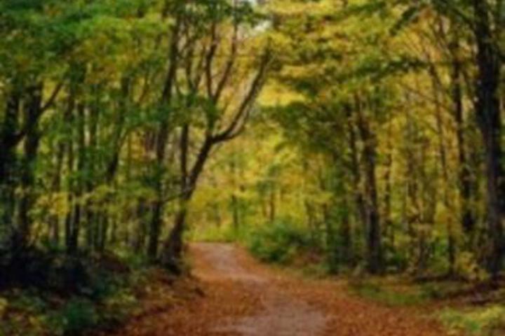 Black Mountain Recreational Area Vacation Rental