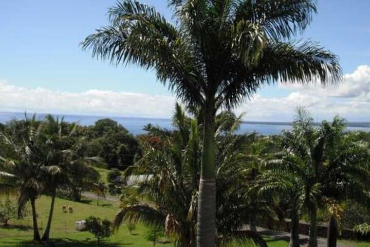 Island Goodes - Luxury Adults Only Accommodation