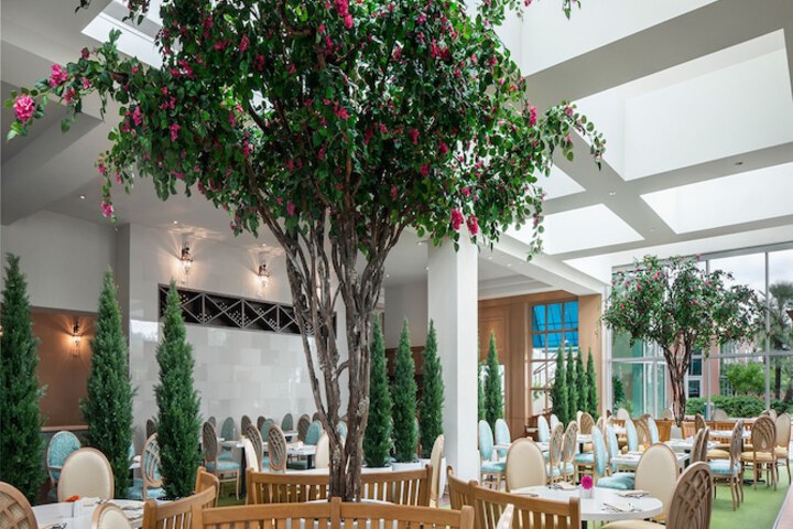 Moody Gardens Hotel Spa and Convention Center