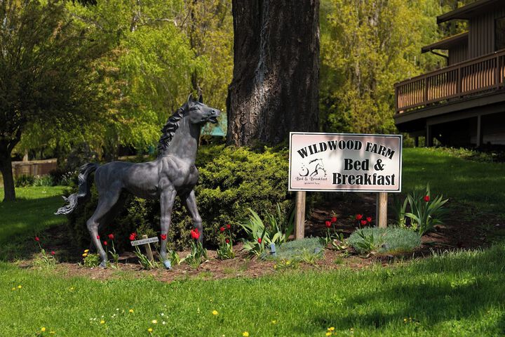 Wildwood Farm B & B