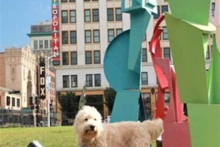 Pet Friendly 78 of 78