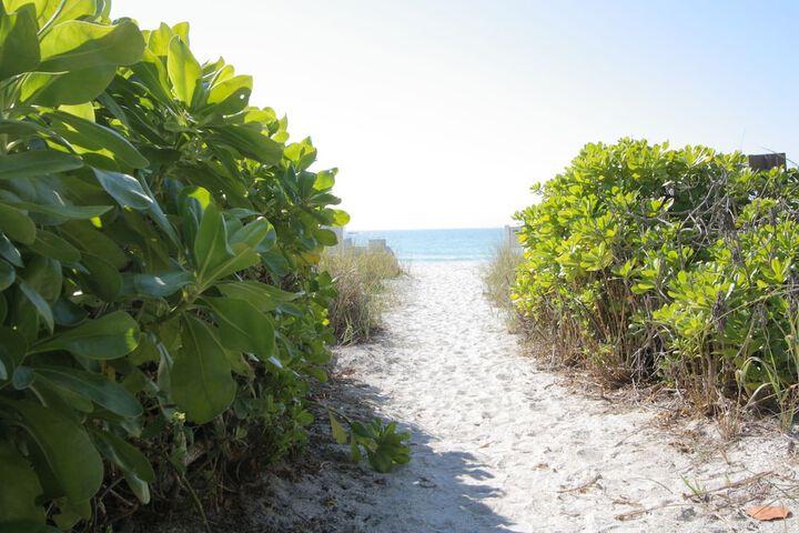 Beach Castle Resort by RVA