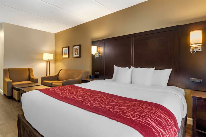 Comfort Inn & Suites near Six Flags