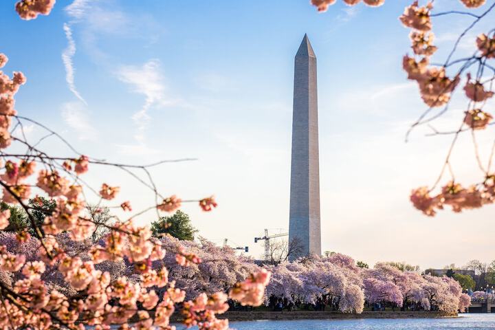 Staybridge Suites Washington D.C.- Greenbelt by IHG