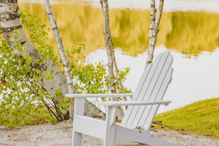 Mountain Springs Lake Resort