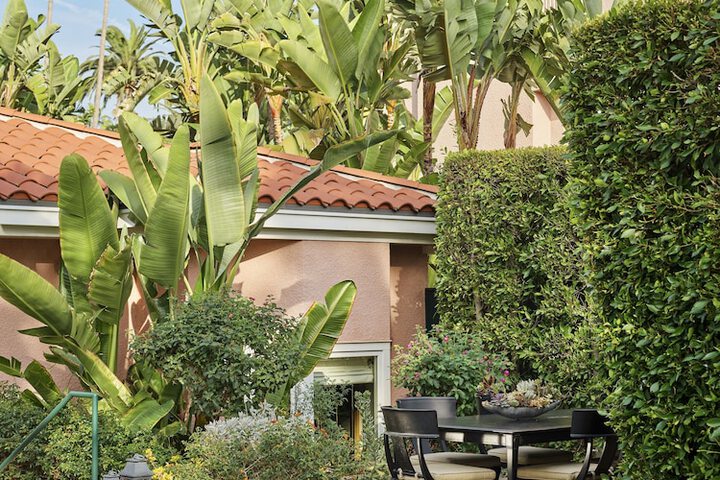 Terrace/Patio 216 of 235