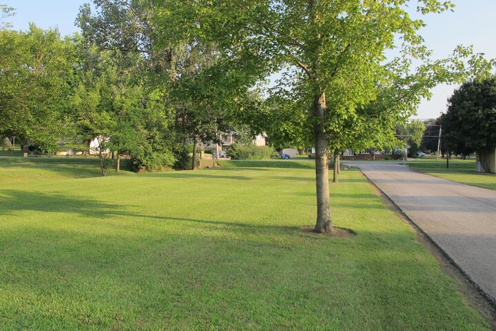 Little Teds Cottages