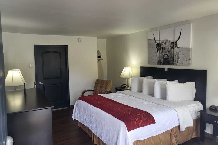 Room 30 of 54