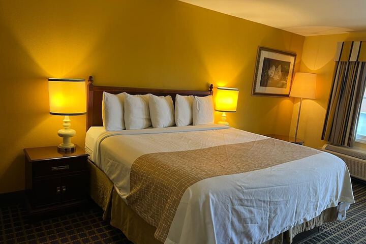 TRAVELODGE BY WYNDHAM UNADILLA