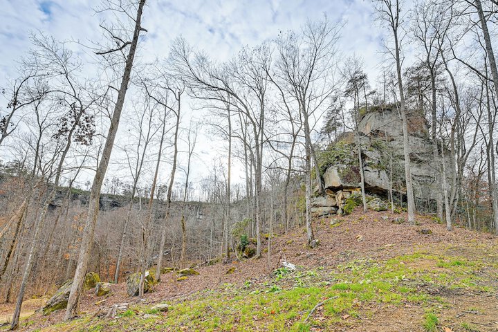 Hike & Climb: Pet-friendly Red River Gorge Cabin!
