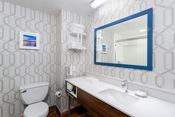 Hampton Inn Buffalo South / I-90