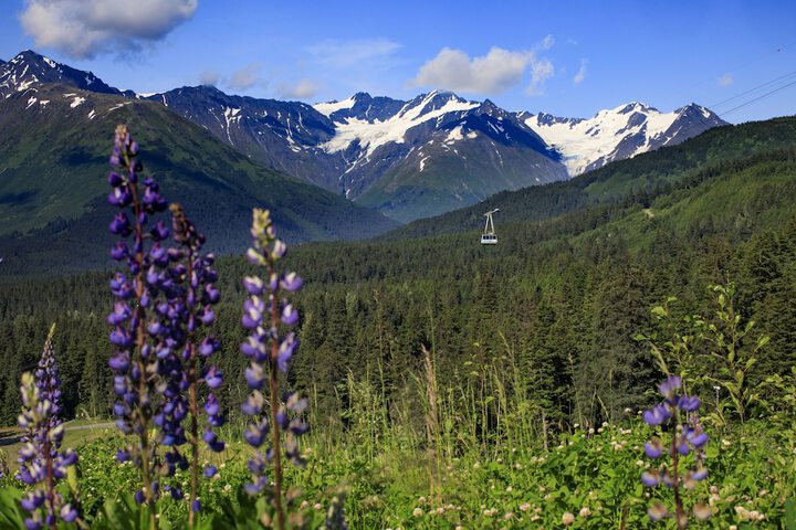 Alyeska Resort