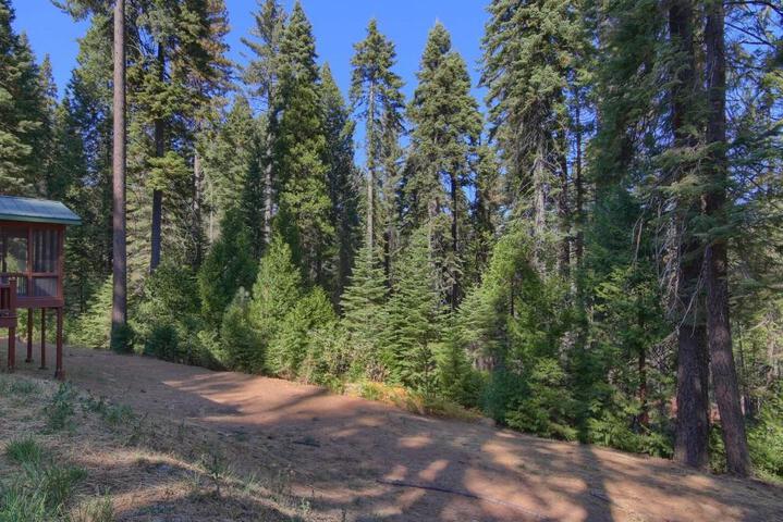 Aspen House in Fish Camp- 2 Miles from Yosemites South Entrance
