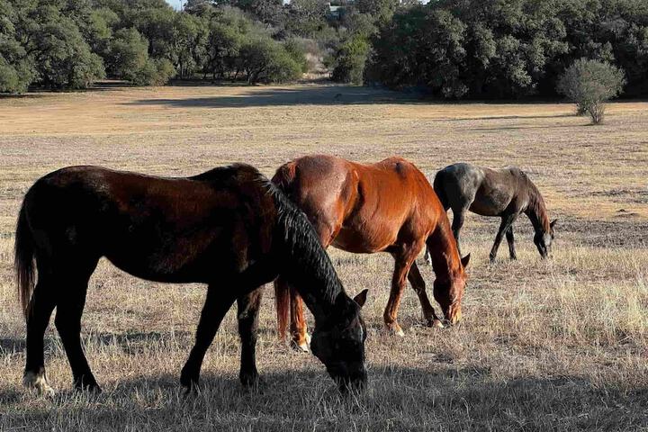 CRC Ranch Retreat