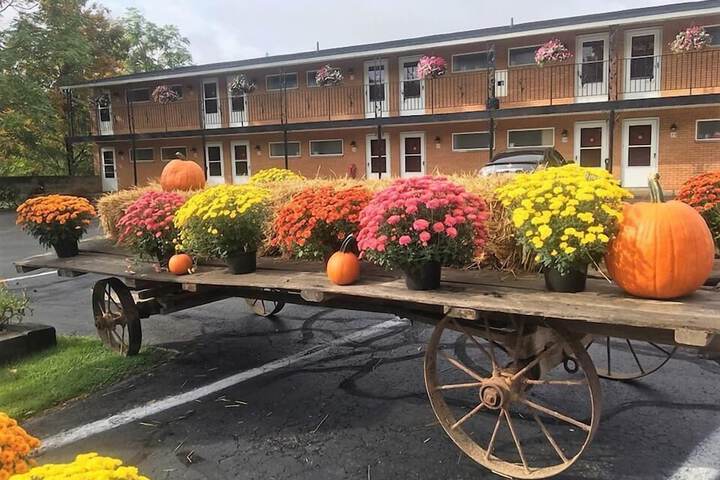 Ciancis Motel and Suites