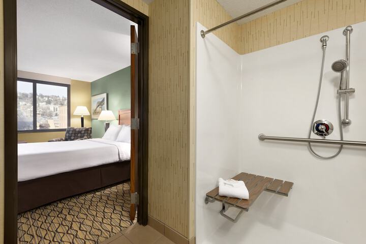 Holiday Inn & Suites Duluth Downtown by IHG