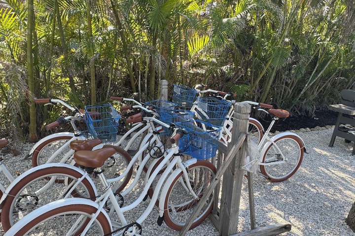 Driftwood Inn