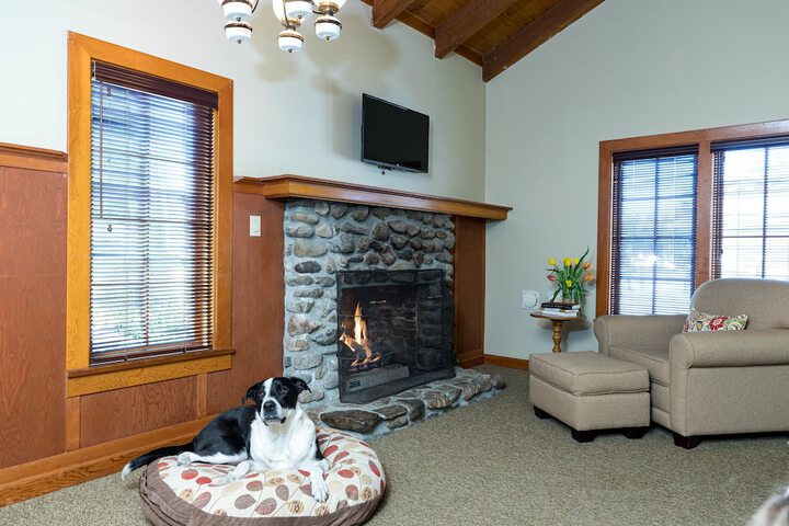 Pet Friendly 97 of 103