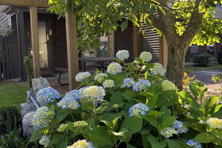 Veranda Cape Cod Family Resort