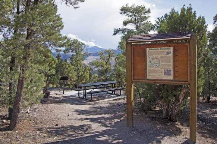 Bristlecone Motel