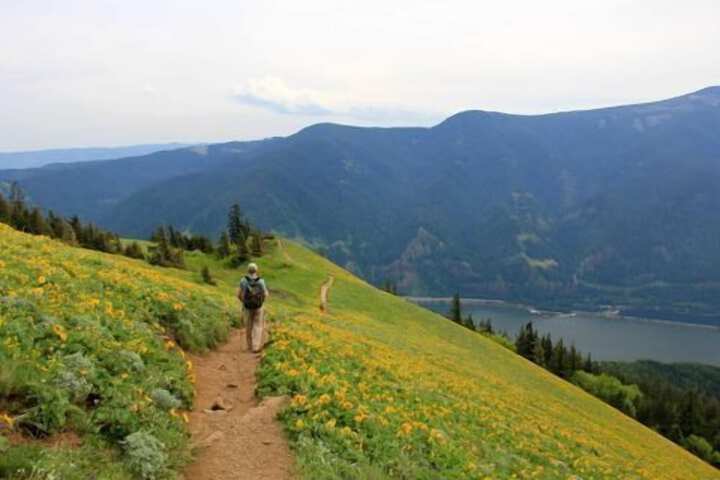 Holiday Inn Express & Suites Hood River by IHG