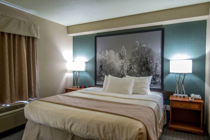Room 6 of 49