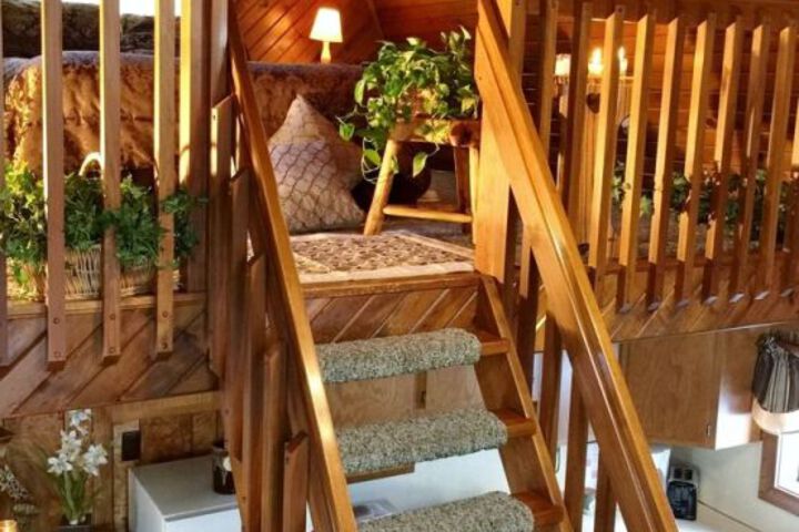 DONNAS PREMIER LODGING