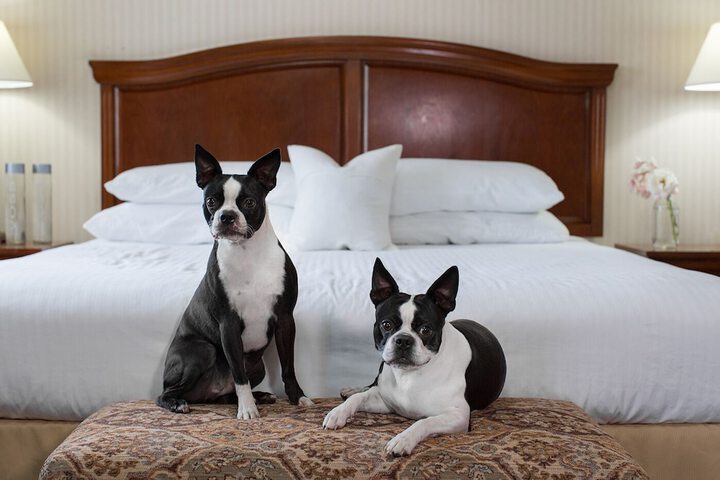 Rogue Regency Inn Medford Airport