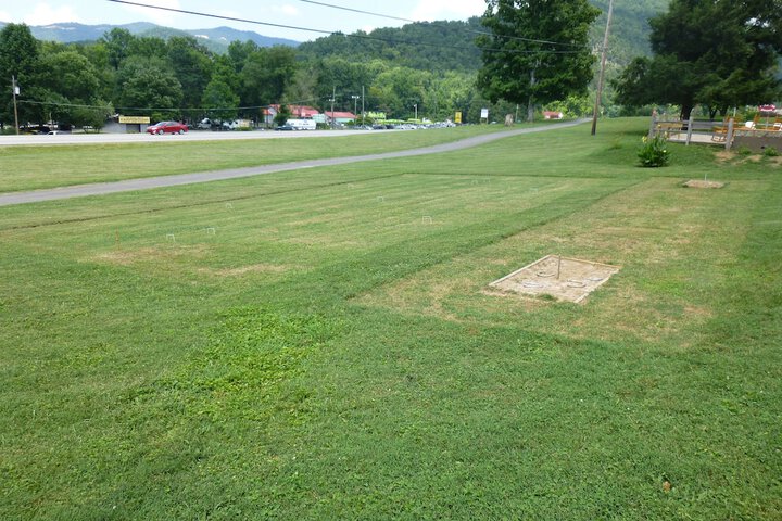 Property Grounds 33 of 35