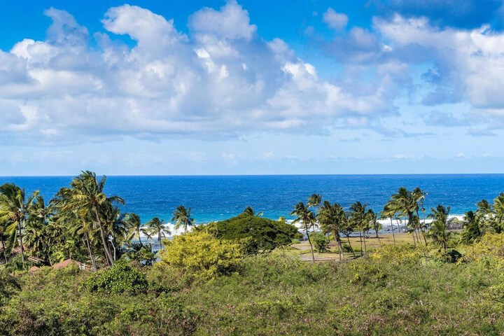Ocean View - AC - Work From Hawaii - Vrkcv
