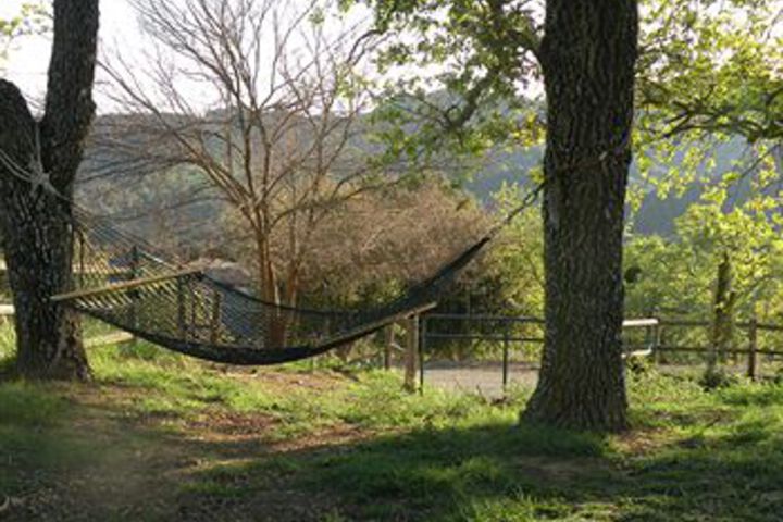 The Best Nest Guesthouse