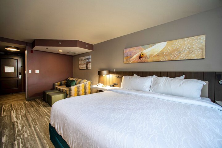 Hilton Garden Inn Rapid City
