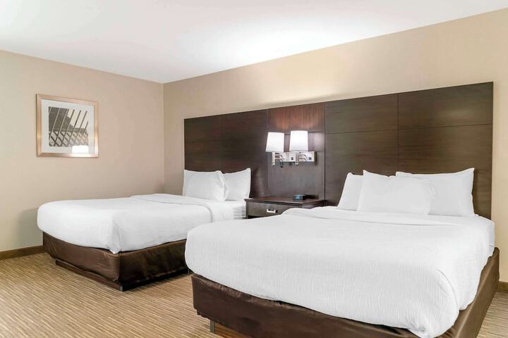 Room 12 of 42