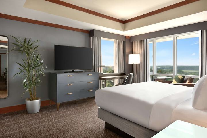 Hilton Baltimore BWI Airport