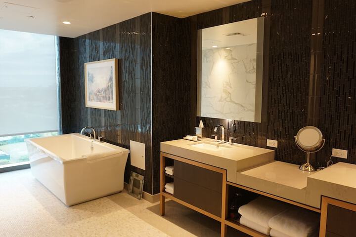 Hyatt Regency JFK Airport at Resorts World New York