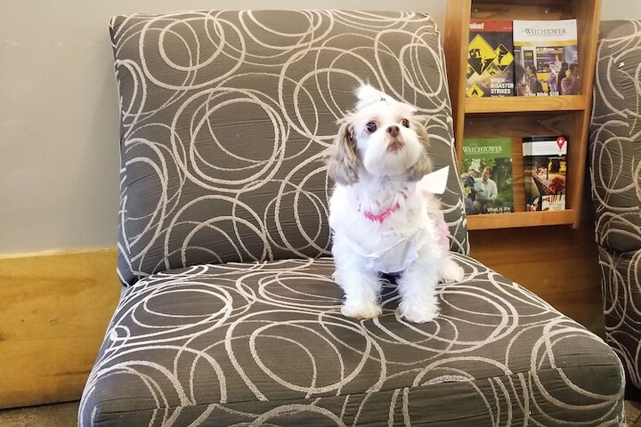 Pet Friendly 68 of 70