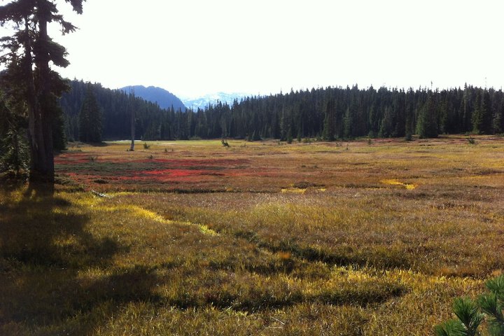Property Grounds 5 of 5