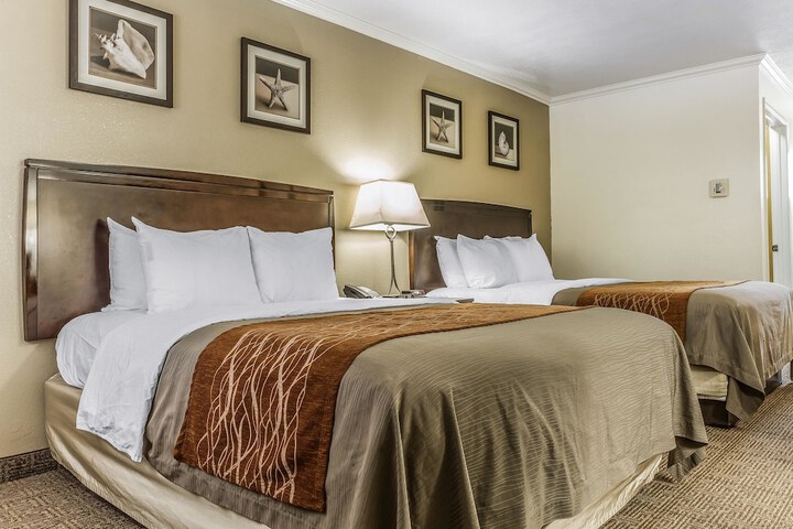 Room 32 of 65