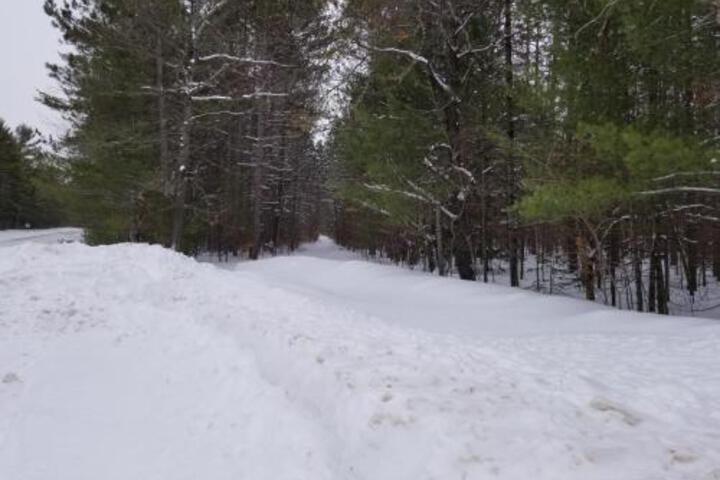 Black Mountain Recreational Area Vacation Rental