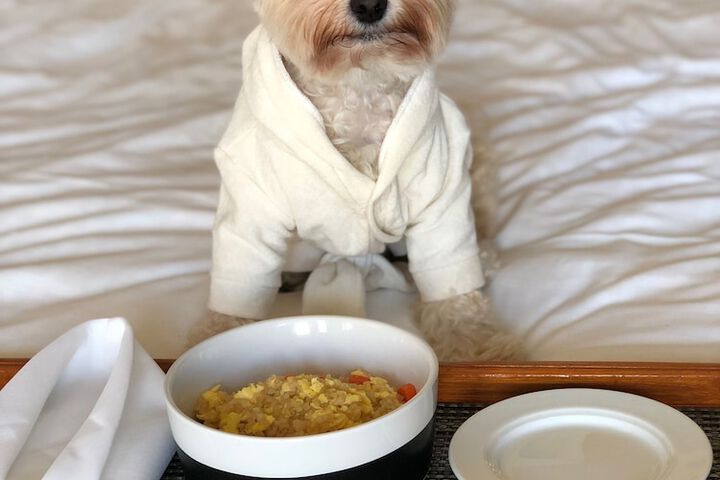 Pet Friendly 55 of 57