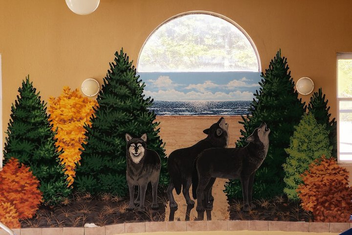 Gray Wolf Lodge