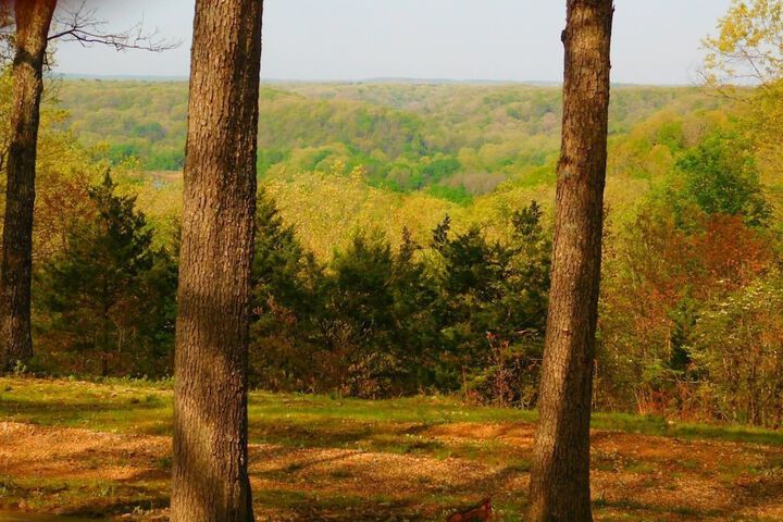 Rock Eddy Bluff Farm