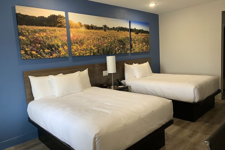 Room 16 of 50