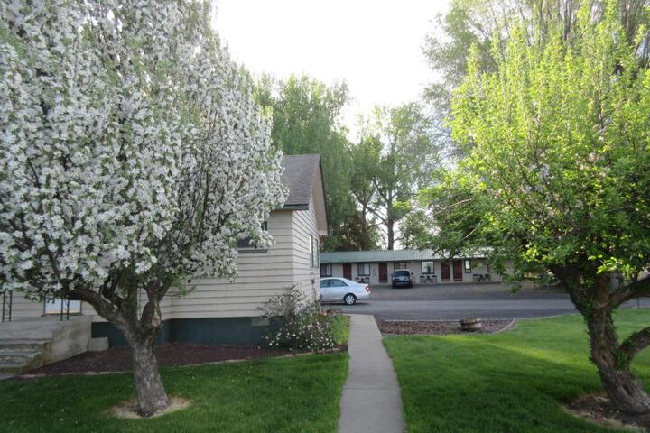 The Willows Motel