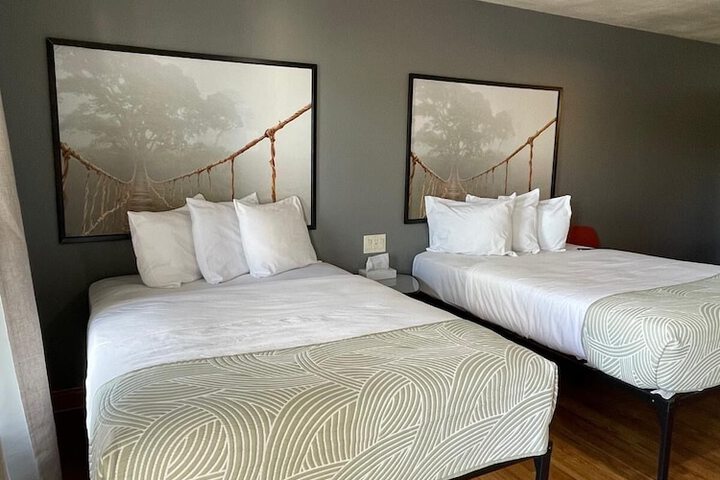 Room 19 of 24