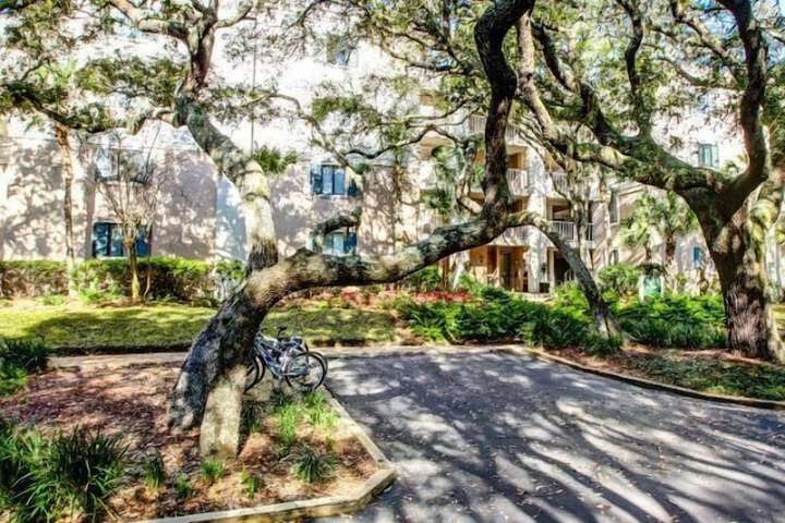 Property Grounds 22 of 23